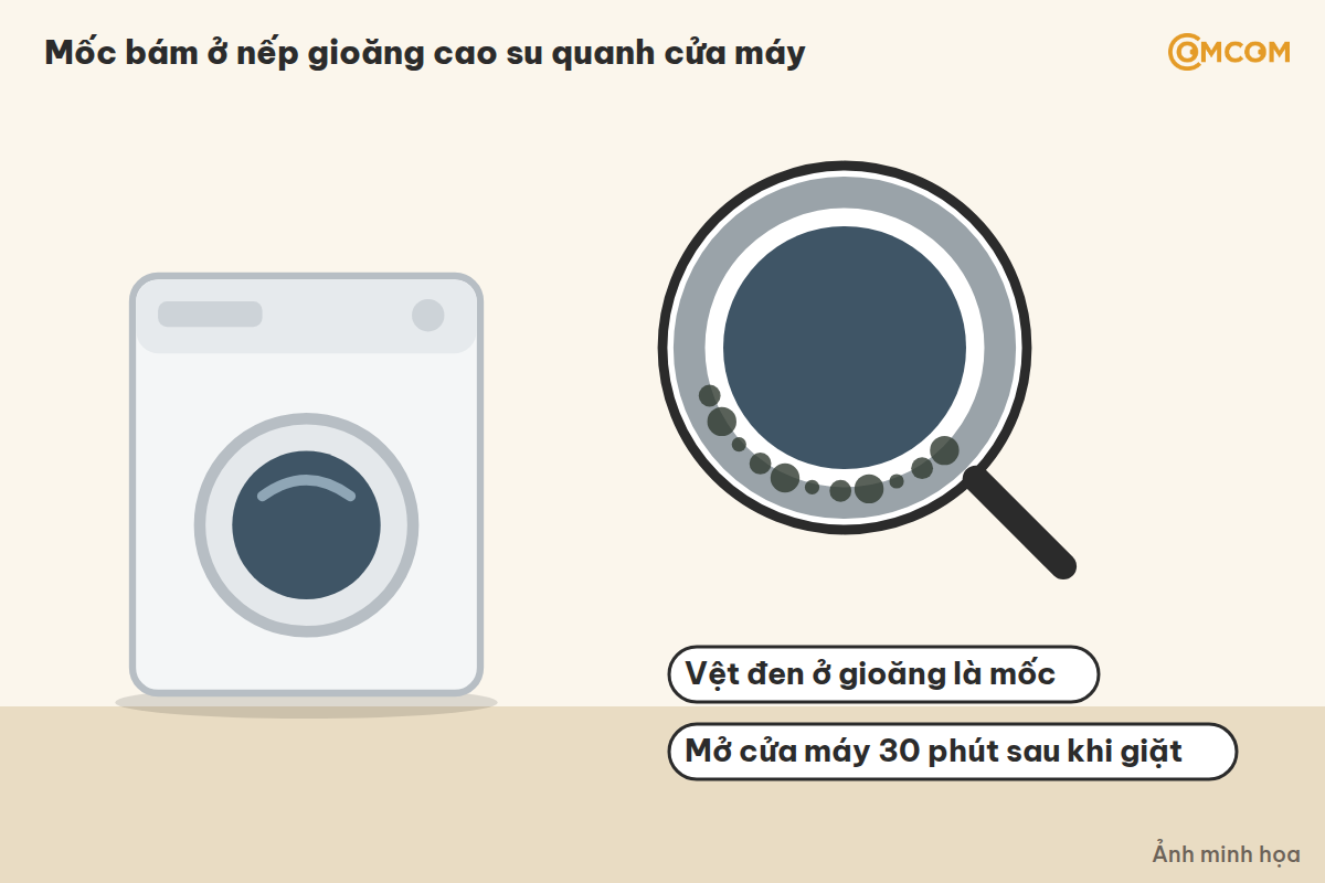 gioăng máy giặt bị mốc đen quanh cửa máy